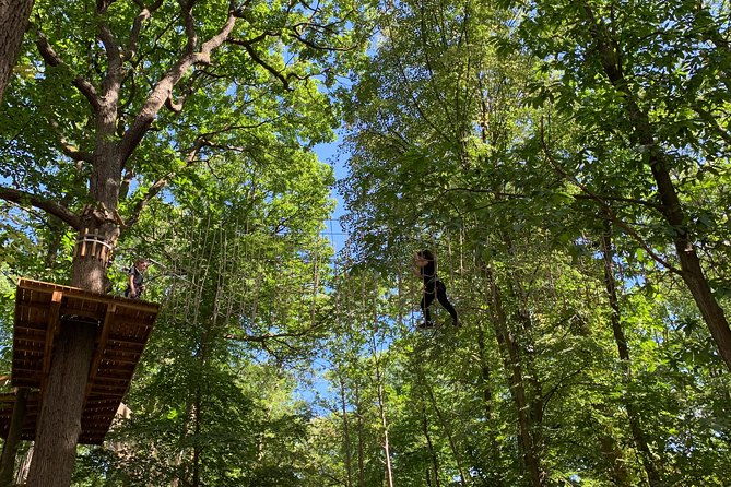tree-top-adventure-in-forest-of-meudon