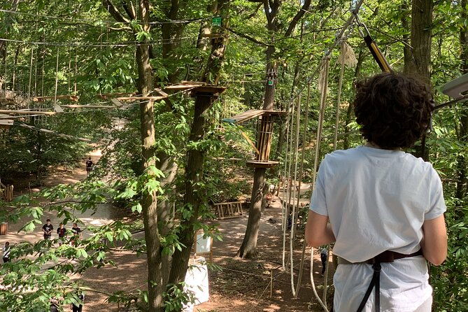tree-top-adventure-in-forest-of-meudon