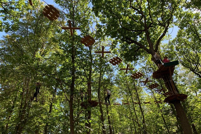 tree-top-adventure-in-forest-of-meudon