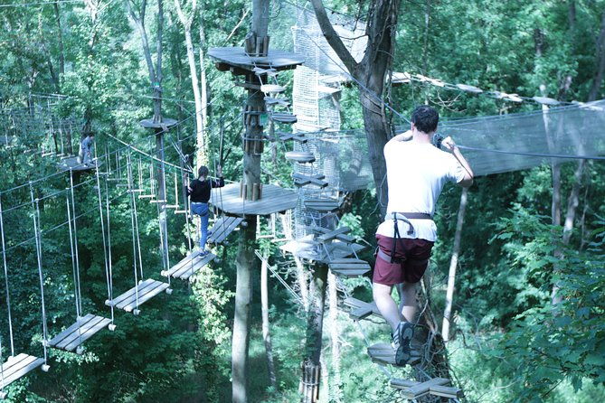 tree-top-adventure-in-rueil-malmaison