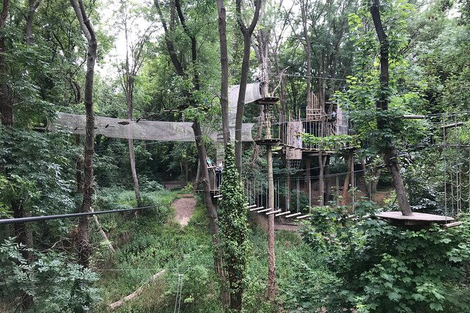 tree-top-adventure-in-rueil-malmaison