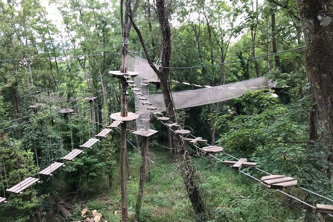 tree-top-adventure-in-rueil-malmaison