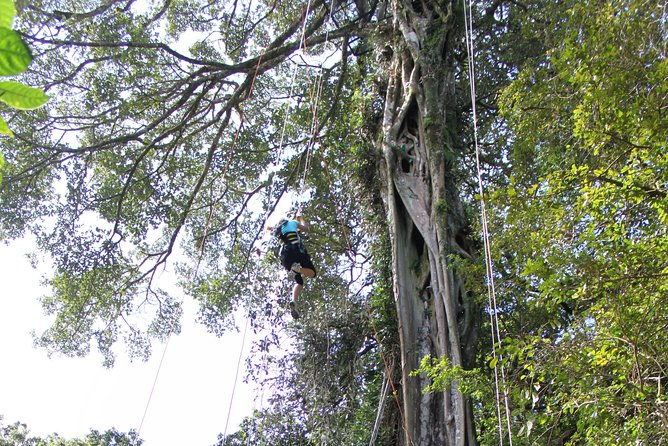 tree-top-climbing-monteverde