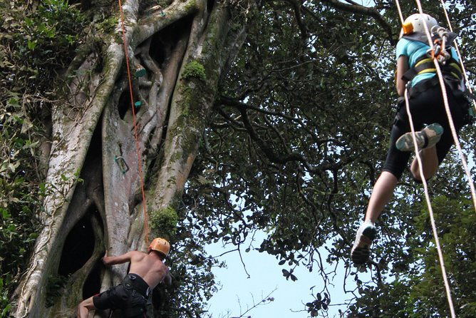 tree-top-climbing-monteverde