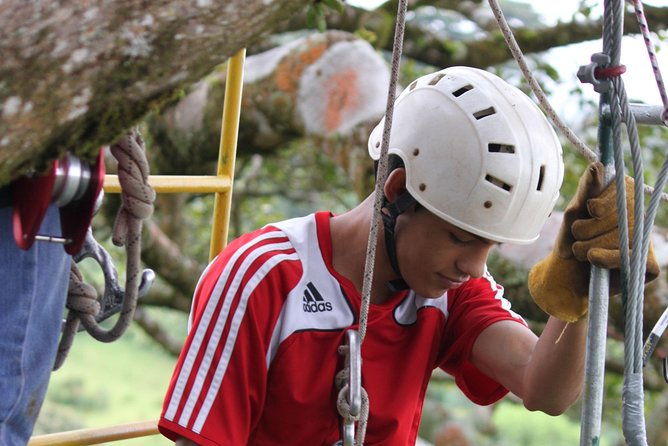 tree-top-climbing-monteverde