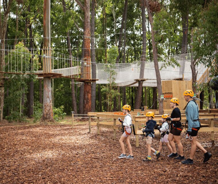TreeClimb Kuitpo Forest: Exciting Treetop Climbing Adventure - An Overview of the Treetop Adventure