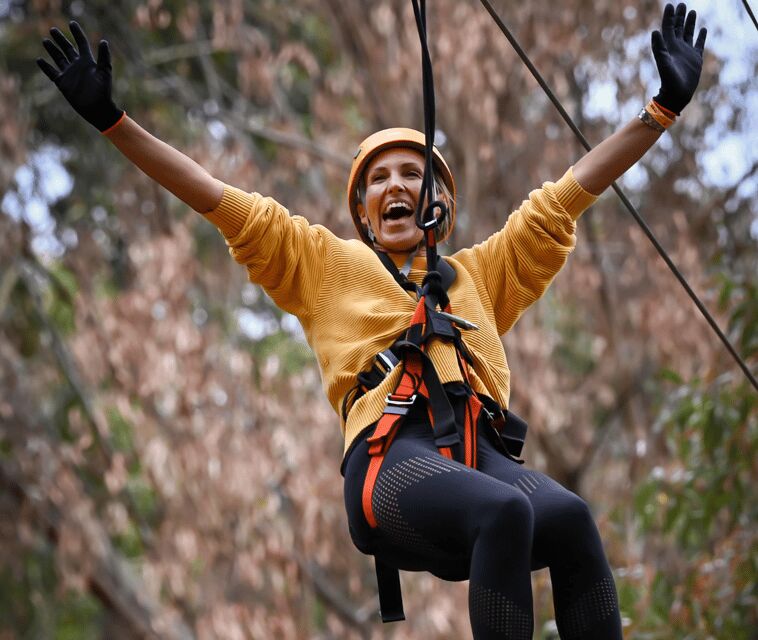 TreeClimb Kuitpo Forest: Exciting Treetop Climbing Adventure - Practical Tips for Your Visit