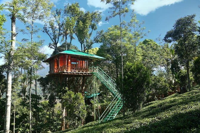 Treehouse stay in munnar - What makes this tour stand out?