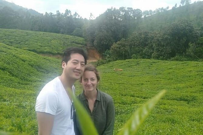 Treehouse stay in munnar - What about the price?