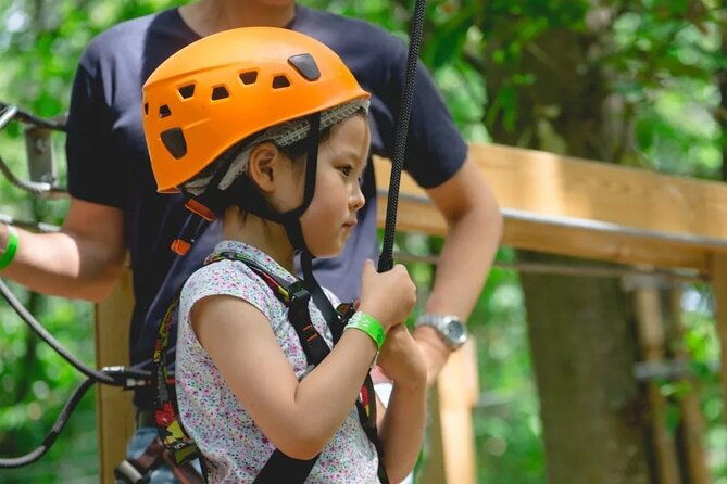treetop-adventure-course-in-jablines