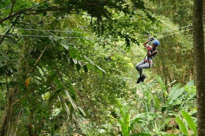 treetop-adventure-park-canopy-tour