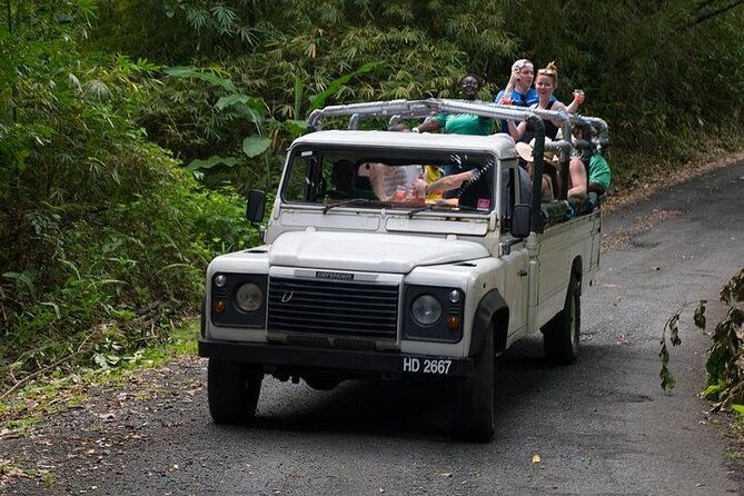 treetop-adventure-park-canopy-tour