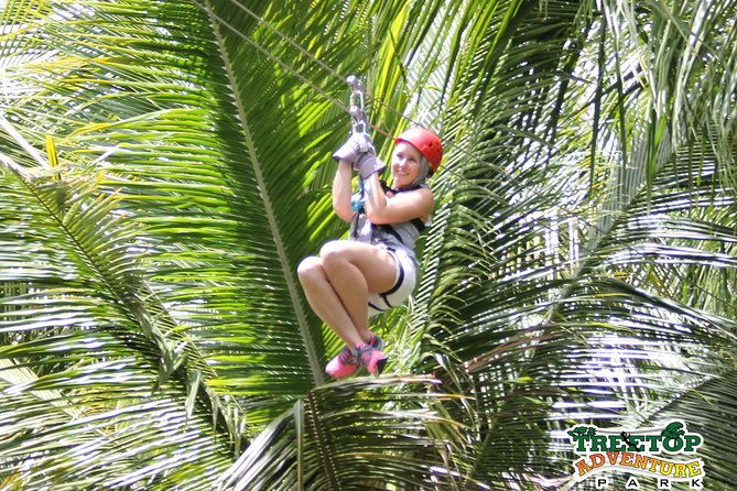 treetop-canopy-adventure