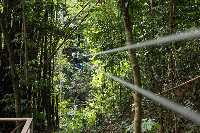 treetop-canopy-adventure