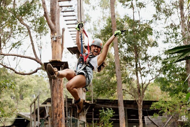 Treetop Challenge Adrenaline Pass - An Introduction to the Treetop Challenge Adrenaline Pass