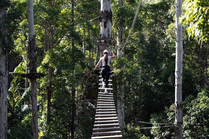 Treetop Challenge Adrenaline Pass - The High Ropes Challenge: From Beginner to Extreme