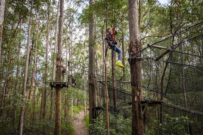 Treetop Challenge Adrenaline Pass - Final Thoughts: Is It Worth It?