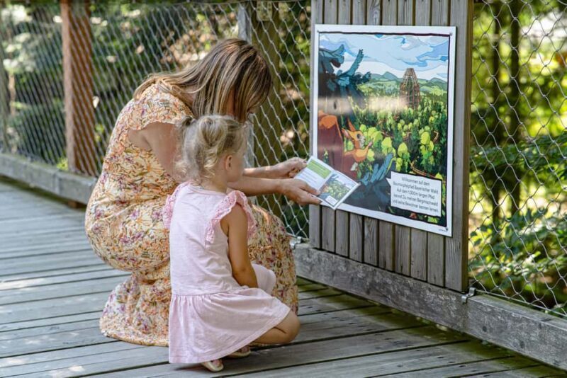 Treetop Walk Bavarian Forest: Discover the world of treetops - An In-Depth Look at the Treetop Walk Experience