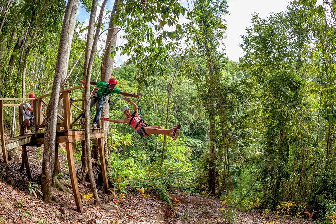 treetop-zipline-experience-from-castries