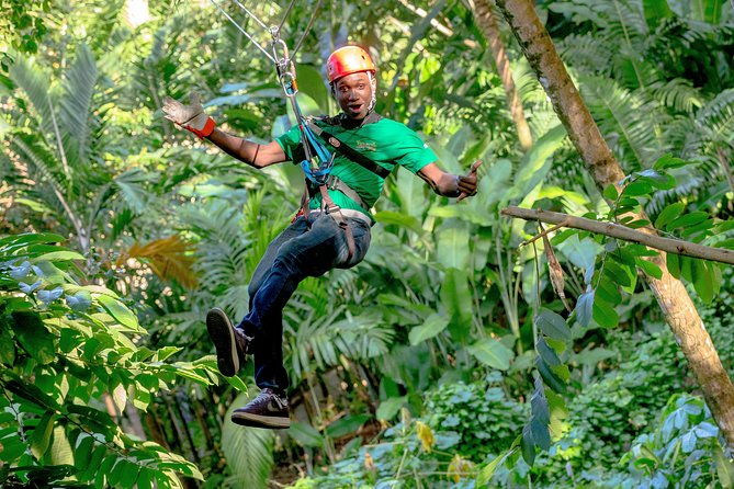 treetop-zipline-experience-from-castries