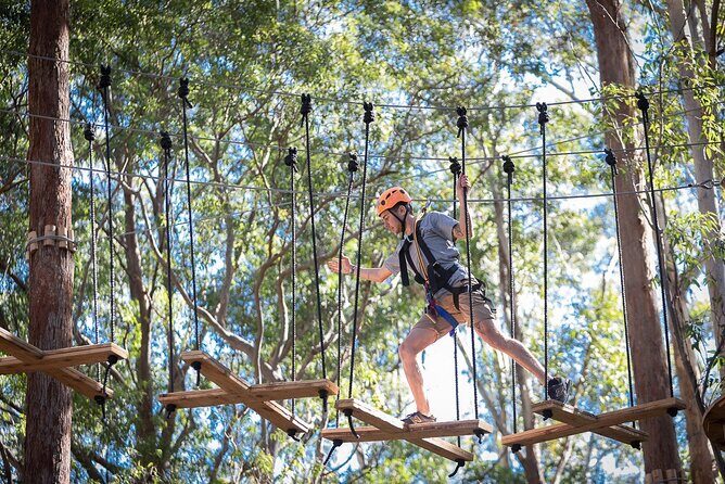 Treetops Adventure The Hills - Tree Ropes Course - Exploring Treetops Adventure The Hills in Detail