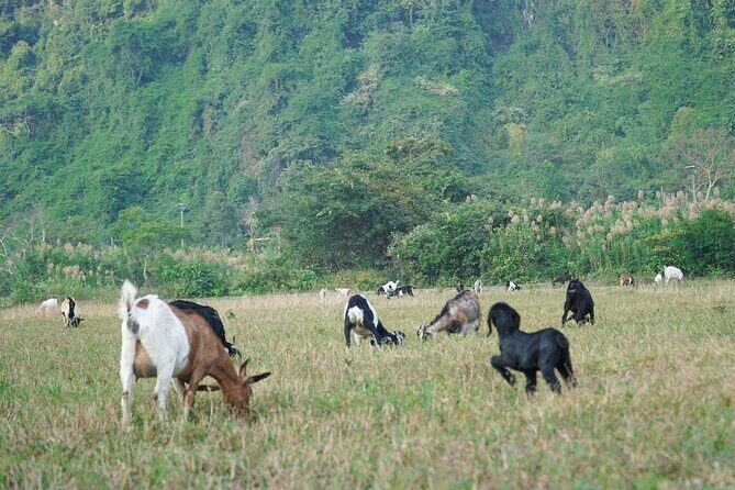 Trek Cat Ba National Park, Viet Hai Village, Kayak in Lan Ha Bay - Key Points