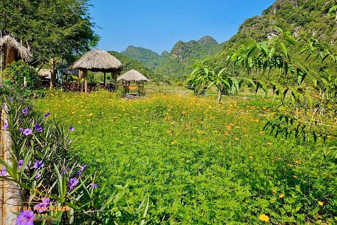 Trek Cat Ba National Park, Viet Hai Village, Kayak in Lan Ha Bay - Who’s This Tour Best For?