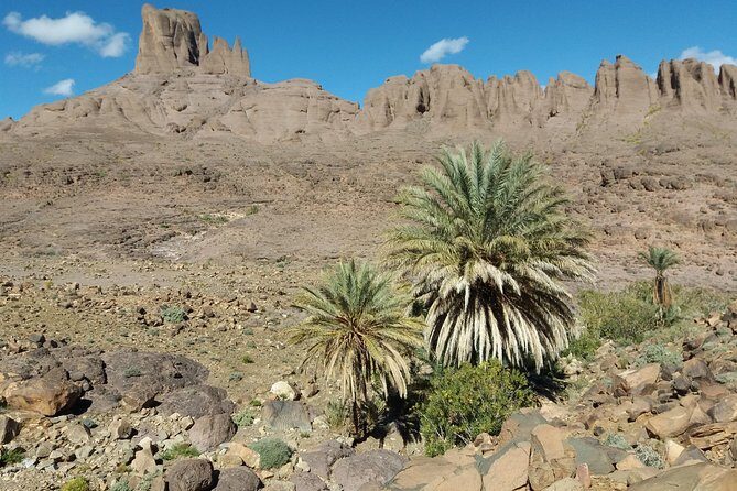 Trek Jebel Saghro Morocco 8 Days - A Closer Look at the Itinerary
