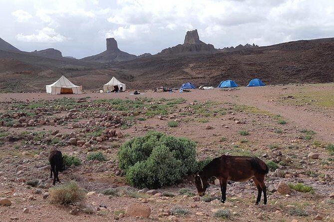 Trek Jebel Saghro Morocco 8 Days - FAQ