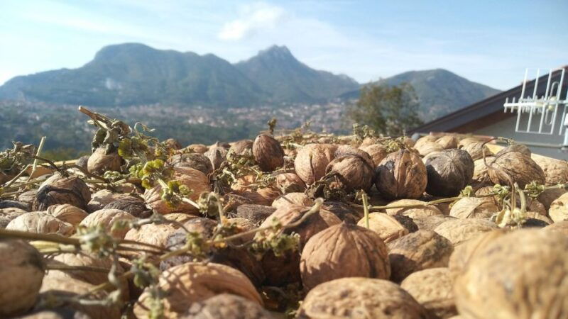 trek-n-cook-amalfi-coast-agerola