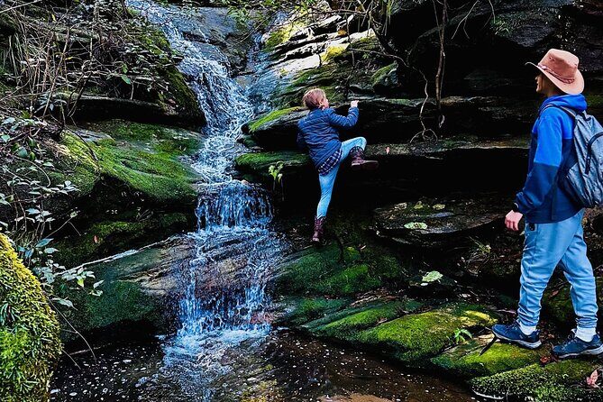 Trek Shoot and Soothe Hiking Tour from Springwood Blue Mountains - Key Points  