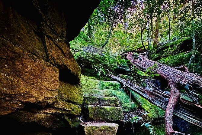 Trek Shoot and Soothe Hiking Tour from Springwood Blue Mountains - A Closer Look at the Trek Shoot and Soothe Experience
