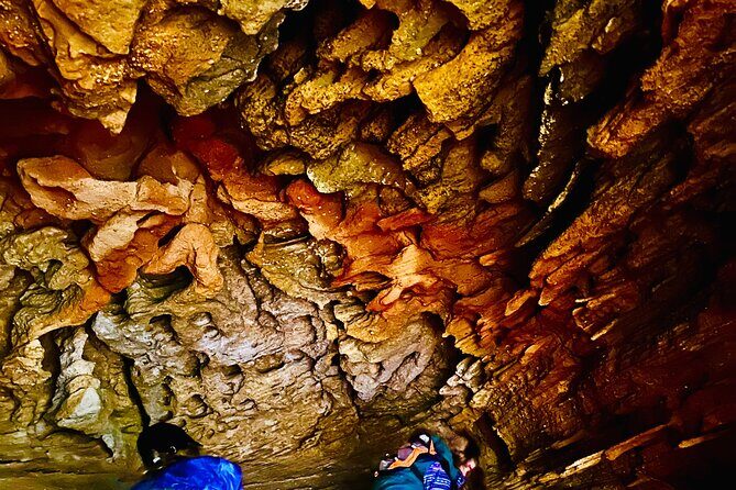 Trek Shoot and Soothe Hiking Tour from Springwood Blue Mountains - FAQ