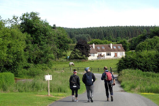 Trek the Tombs and Trails in the Dublin Mountains - Seasonal Berry Picking: A Tasty Surprise