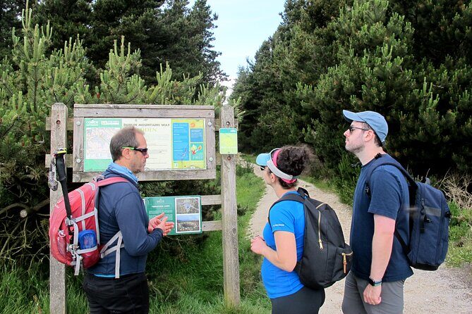 Trek the Tombs and Trails in the Dublin Mountains - Return Journey and Flexibility