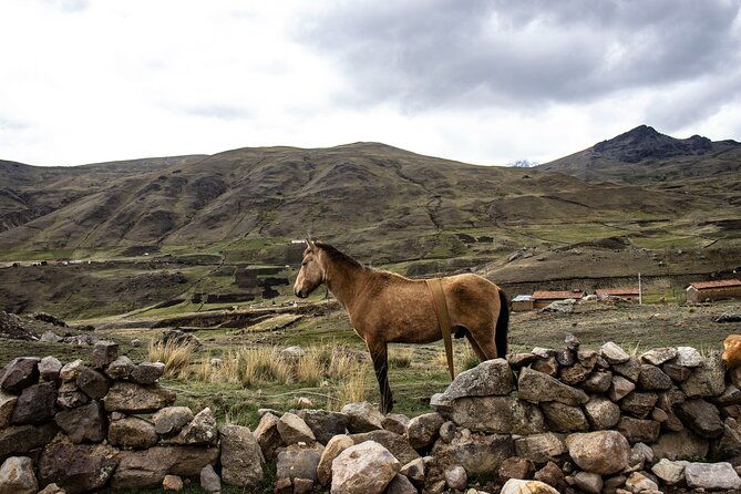 trek-through-the-mountain-of-colors-vincunca-cusco