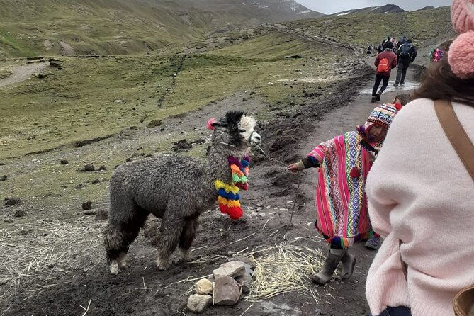 trek-through-the-mountain-of-colors-vincunca-cusco