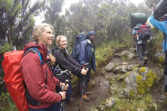 Trek To Mount Kilimanjaro - Introduction: An Authentic Kilimanjaro Experience on a Short Timeline