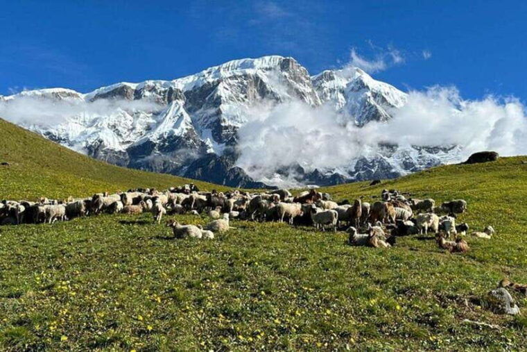 trek-to-nepals-hidden-gem-sikles-village-kapuche-glacier