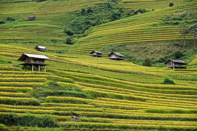 Trekking and Motorbike full day in Mu Cang Chai - The Sum Up