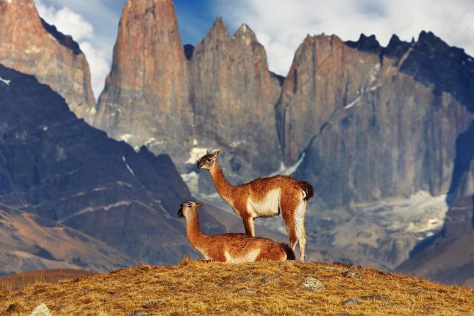 trekking-base-torres-del-paine-from-puerto-natales