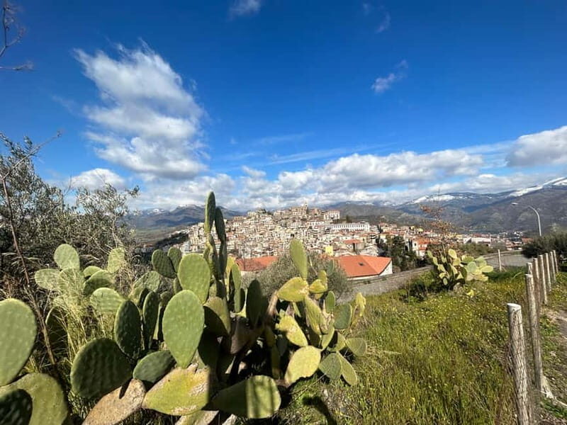 Trekking del Borgo di Castiglione di Sicilia - A Well-Organized Trekking Experience