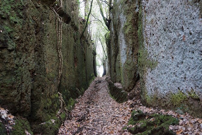 trekking-excursion-history-and-nature-necropolis-of-norchia-from-rome