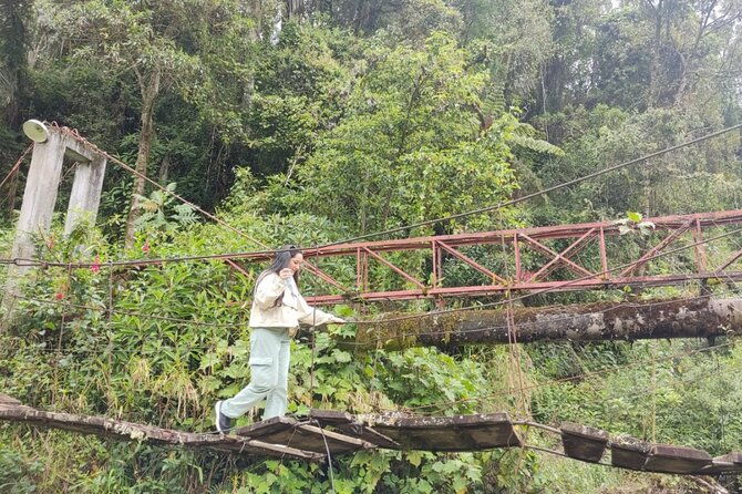 trekking-hiking-in-cocora-valley-from-pereira-or-armenia