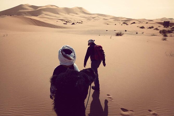 Trekking in Morocco / Atlas Mountains and Sahara Trek (5days) - Transport, Guides, and Overall Logistics