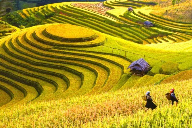 Trekking In Mu Cang Chai Tour 4 Days - What’s Included and What’s Not?