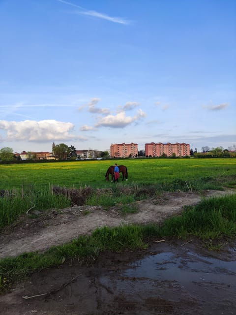 trekking-in-the-wood-with-picnic-on-the-turtles-lake-2