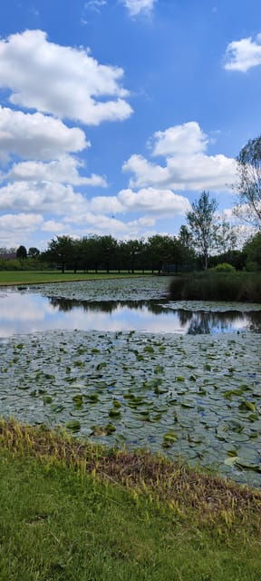 trekking-in-the-wood-with-picnic-on-the-turtles-lake-2