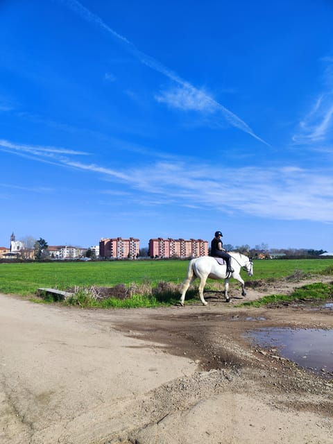 trekking-in-the-wood-with-picnic-on-the-turtles-lake-2