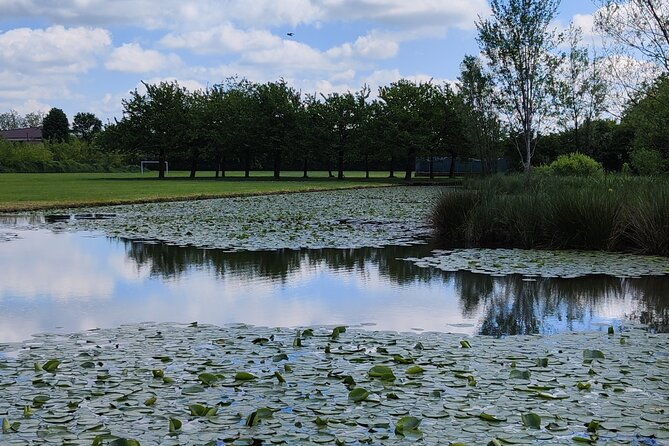 trekking-in-the-wood-with-picnic-on-the-turtles-lake